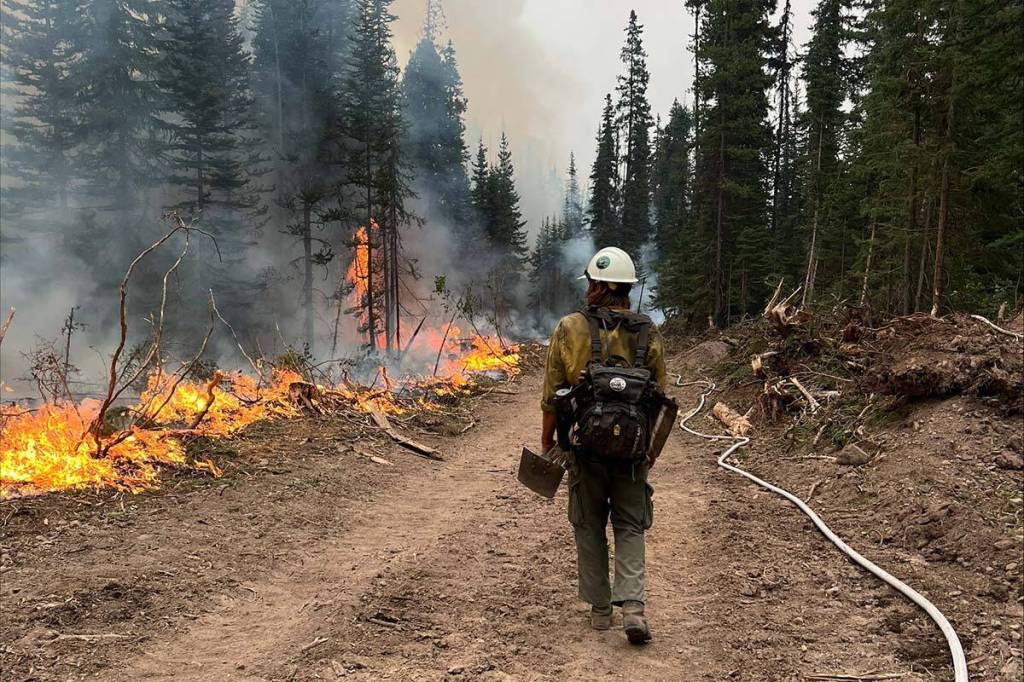 A firefighter works on the Peacock Creek wildfire, south of Smithers, B.C. (BC Wildfire Service)